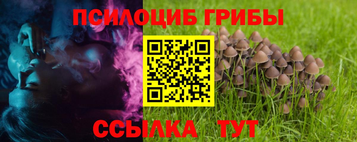 Морозовск  Псилоцибиновые грибы Psilocybe  Вход с VPN  Псилоцибиновые грибы прущие грибы 