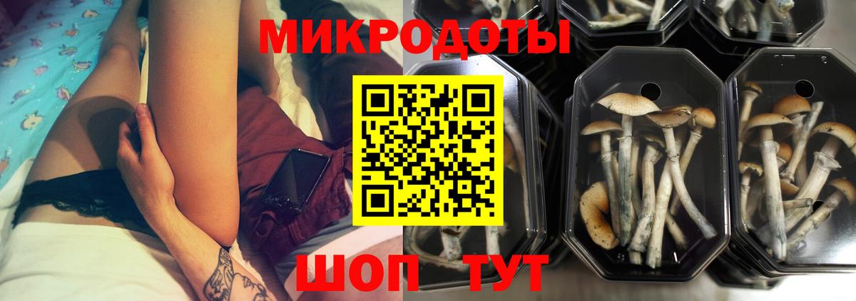 Галлюциногенные грибы прущие грибы Морозовск